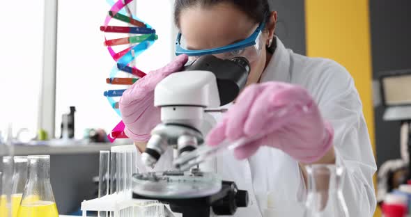 Scientist Looks Through a Microscope in Laboratory