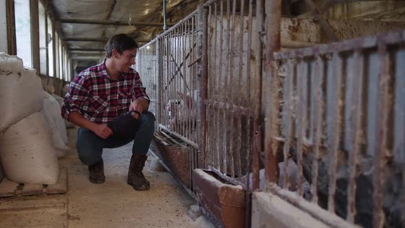 A Happy Farmer Straightens His Hair and Then Strokes the Piglets