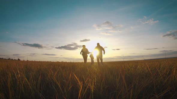 Happy Young Family Together with Their Little Child at Sunset, Parents Raising Baby Up in the Air