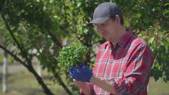 Guy Posing with Plant.  Video Prores