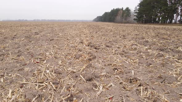 Land in a Plowed Field in Autumn