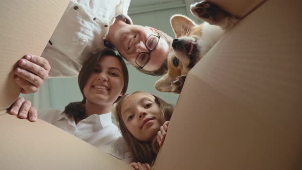 Bottom View. A Joyful Family With Their Cute Dog Lean Over a Box, Looking Inside and Smiling.