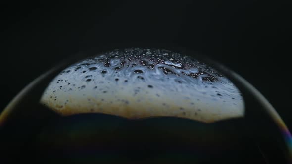 Soap bubbles isolated on black background. Abstract soap bubbles with colorful reflections.