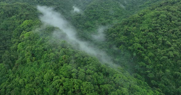 Aerial footage of arising fog in beautiful forest mountain landscape