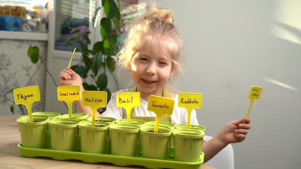 Small Blonde Girl in an Apron Smiles and is Engaged in Planting Seeds for Seedlings of Micro Greens
