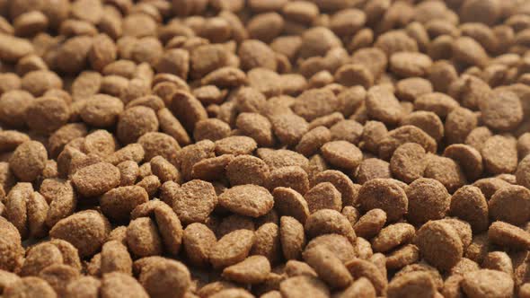 Cat or dog dry food close-up 4K 2160p 30fps UltraHD footage - Tilting over  pet pellets on  pile 384