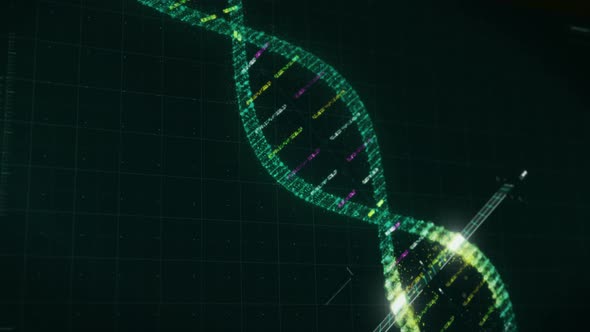 Examining the DNA Atoms of the Living Organisms for the biotechnology Research alt