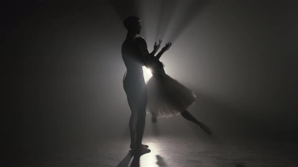 Graceful Ballerina and Her Male Partner Dancing Elements of Classical Ballet