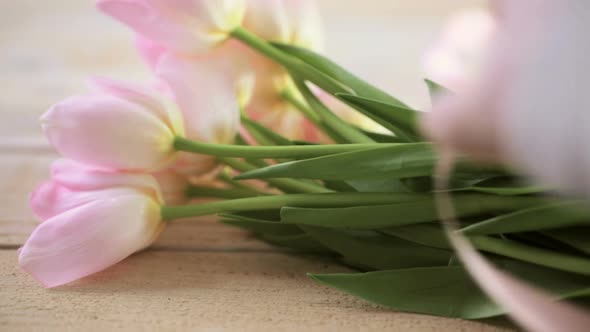 Light pink tulips on a wood background