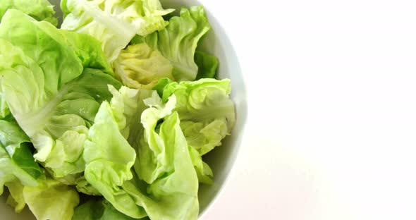 Cabbage leaves in bowl