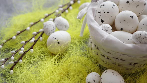 Easter White Dotted Eggs in the Nest and Spring Yellow Grass