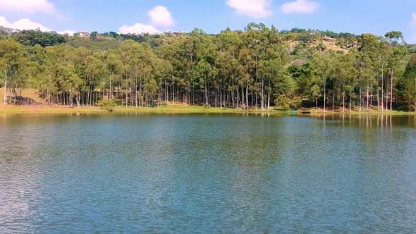 Aerial View of Lake with Forest