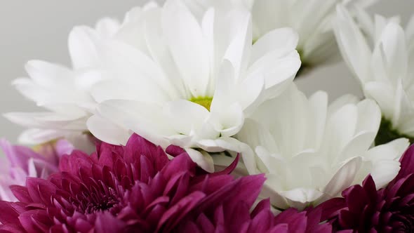 Spring bouquet of beautiful flowers in different colors rotates 360 on a gray background.