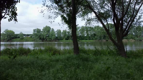 The river bank and the forest from drone view