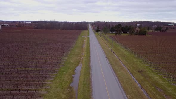 Aerial flying over a country highway surrounded by vineyards.