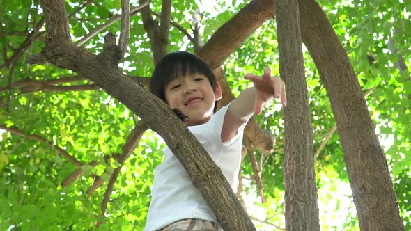 Cute Asian Boy Climbing A Tree In The Park 