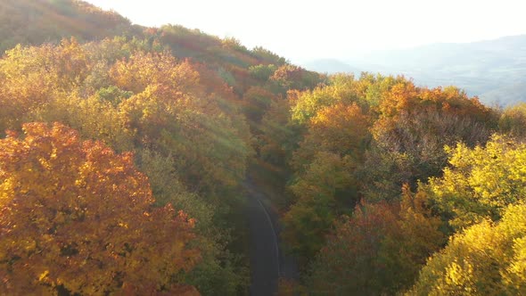 Aerial View Of Old Road In The Middle Of A Colored Autumn Forest At Sunset