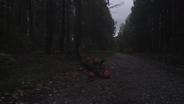 Spooky Halloween Pumpkins On The Road