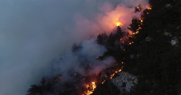 Aerial Panoramic View of a Forest Fire at Night Heavy Smoke Causes Air Pollution and Fire in Full