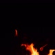 Flames from campfire burning at night - VideoHive Item for Sale