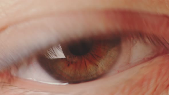 Human Eye with Long Eyelashes with Mascara