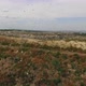 Birds Circling Above the Dump - VideoHive Item for Sale