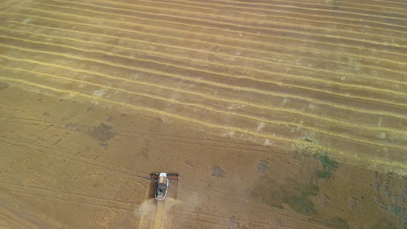 Wheat Field Harvest