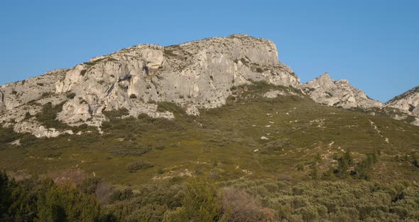 Olives groves, Les Civadieres in the Alpilles range, Provence, France