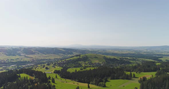 Flying Over the Beautiful Forest Trees. Landscape Panorama.