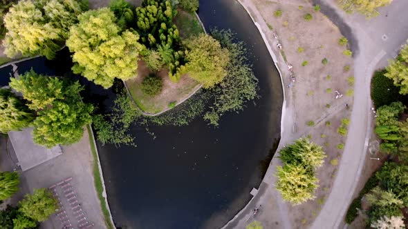 Aero, Top View. Green Trees, Walking Paths and a Lake in the Middle of a City Park in Summer.