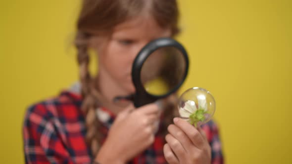 White Flower in Lightbulb with Blurred Teenage Girl Examining Plant with Magnifier at Yellow