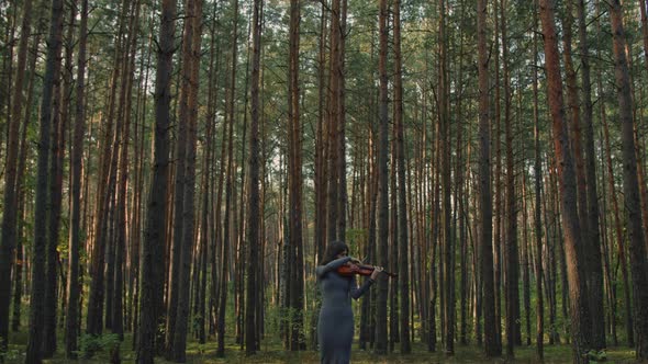 Woman Is Playing Violin In Pine Forest