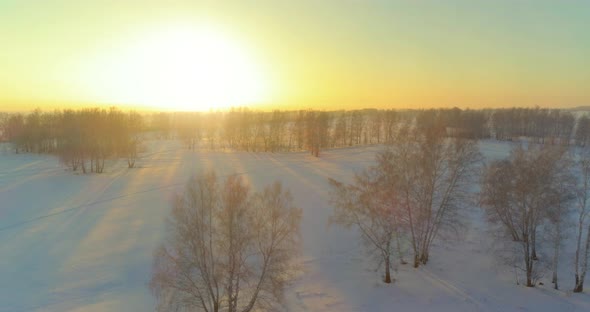 Aerial Drone View of Cold Winter Landscape with Arctic Field, Trees Covered with Frost Snow and