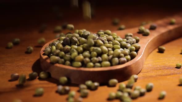 Mung Bean. The Mung Bean Alternatively Known As the Green Gram, Maash, or Moong.