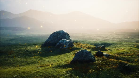 Big Stones in Grass Field