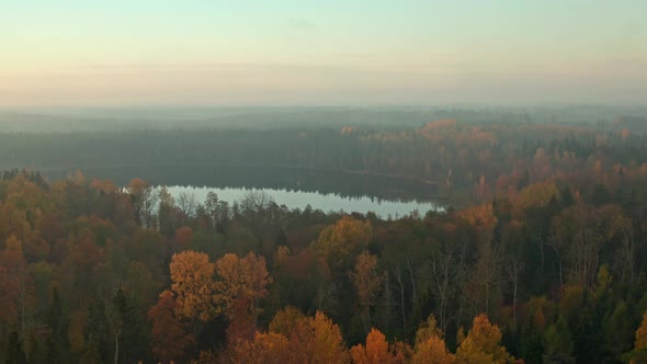 Lake and Forest