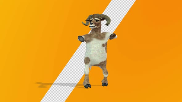 Sheep Samba Dance 2