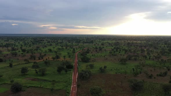 sunset within natural green vegetation