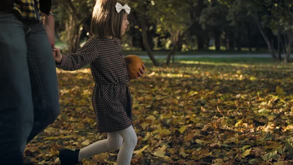 Autumn walk by forest path