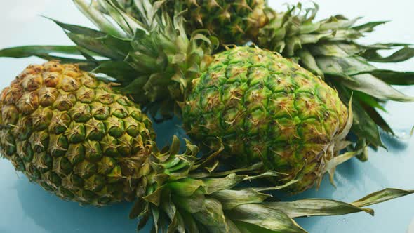 Whole Pineapples on Blue Background