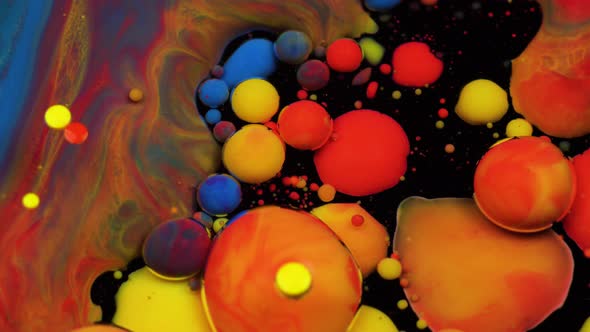 Amazing Multicolored Bubbles of Paint on the Oil Surface. Paint in Oil