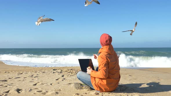 Young Man Sits with Laptop on Beach Sand and Feeds Seagulls