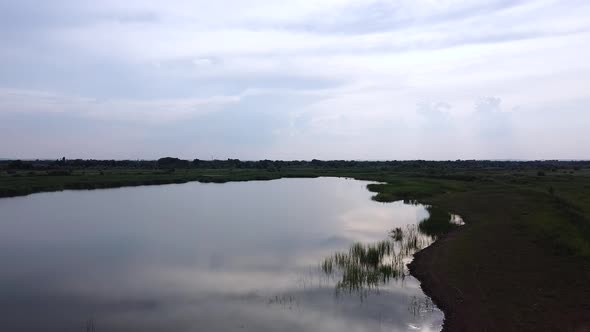 Lake among green fields. A pond surrounded by green meadows