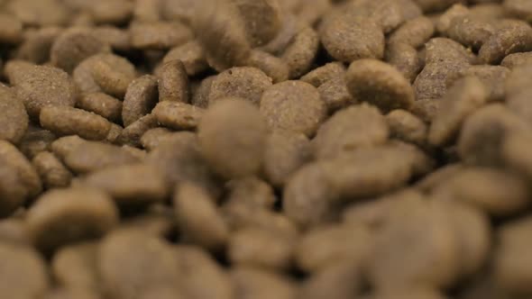 Pullback dolly dog dry food falling in Slow motion - Small brown pellets, macro shot