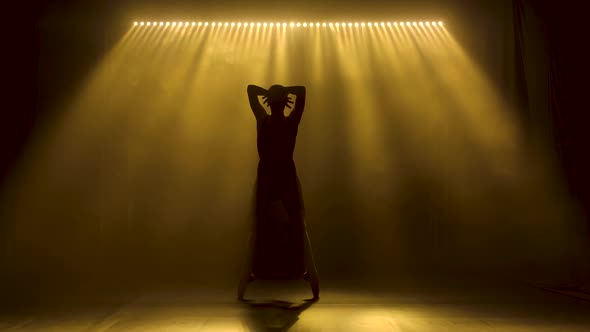 Professional Ballerina Dancing Ballet in Spotlights and Smoke on Stage. Silhouette of a Beautiful