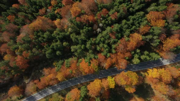 Flying Over The Empty Autumn Road 