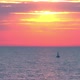 Sunset at Sea with Sailing Boats - VideoHive Item for Sale