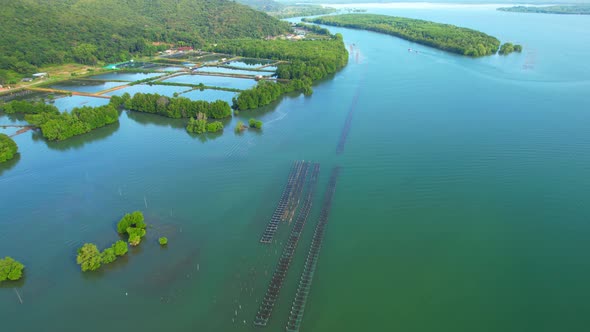 An island-shaped mangrove forest in the middle of a river mouth near the sea.