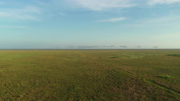 Aerial Rising Reveal Florida Everglades Nature Preserve Landscape