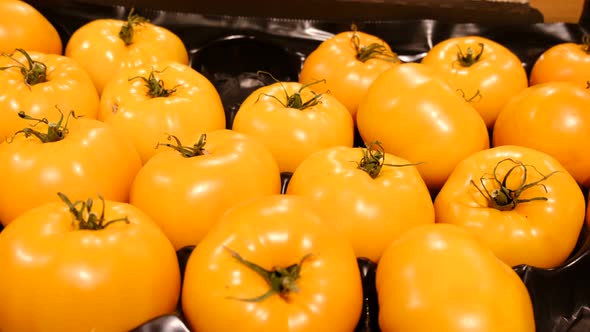 Lots of Yellow Tomatoes